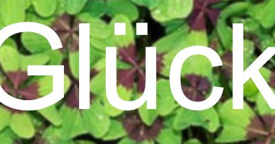 Glück gehabt?! Schülerinnen und Schüler auf der Suche nach dem Glück…