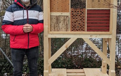 Pandemiegerechte Präsentationsprüfungen